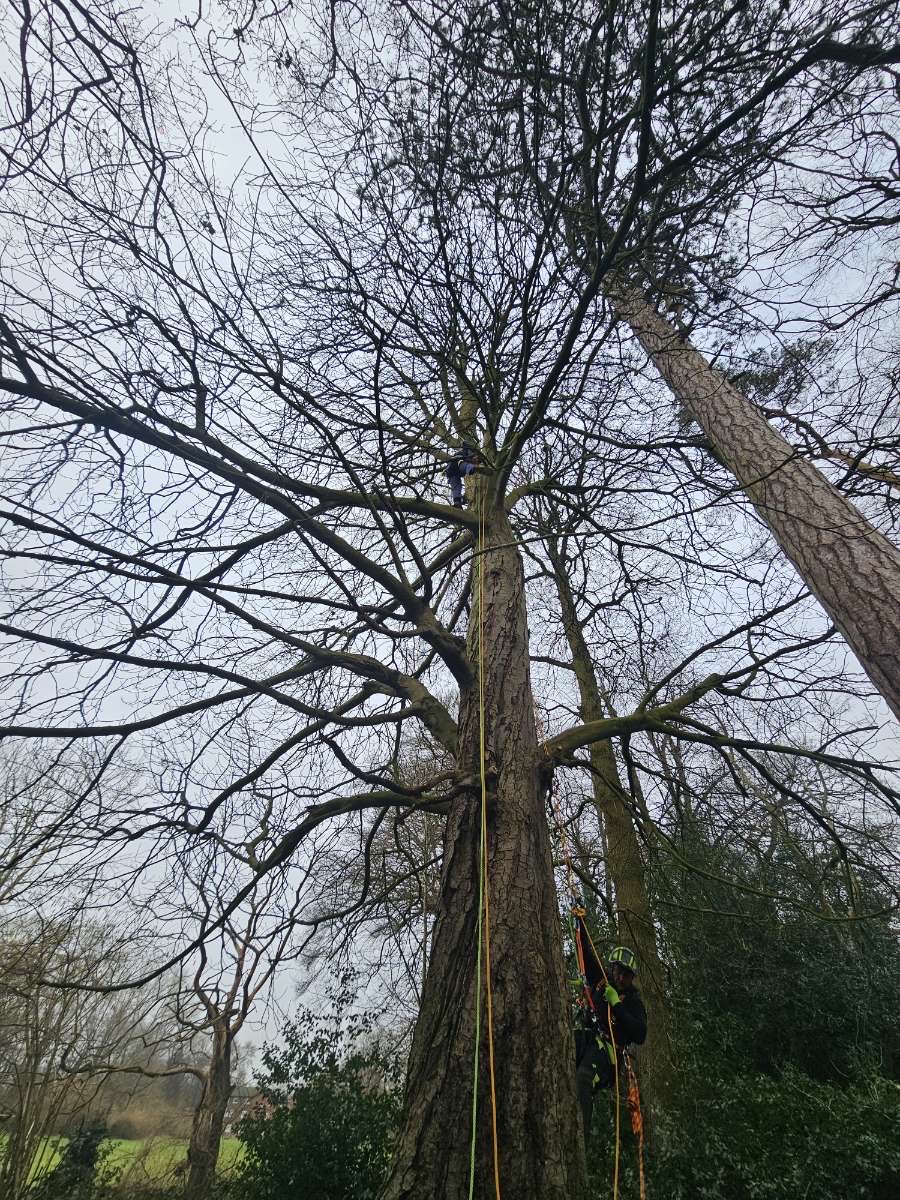 image of success metrics in chart form [background image]