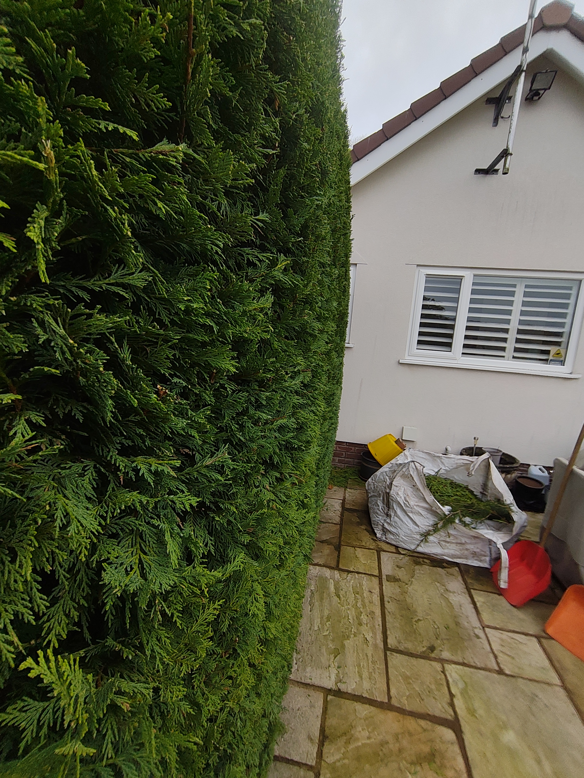 [background image] image of city street (for a food truck)