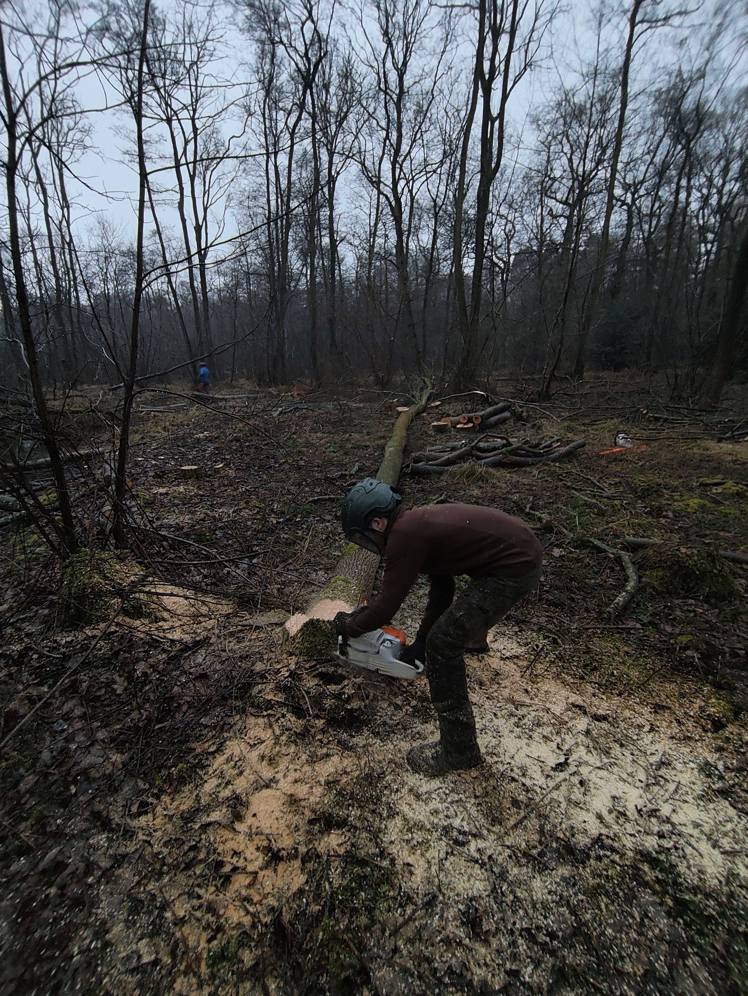 image of solar panel installation in progress