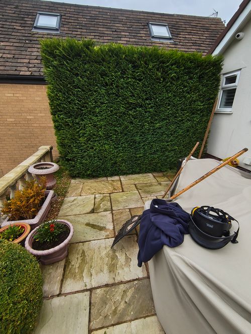 image of album cover (for a musician & band)