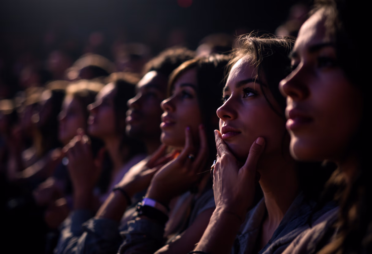 image of a concert crowd