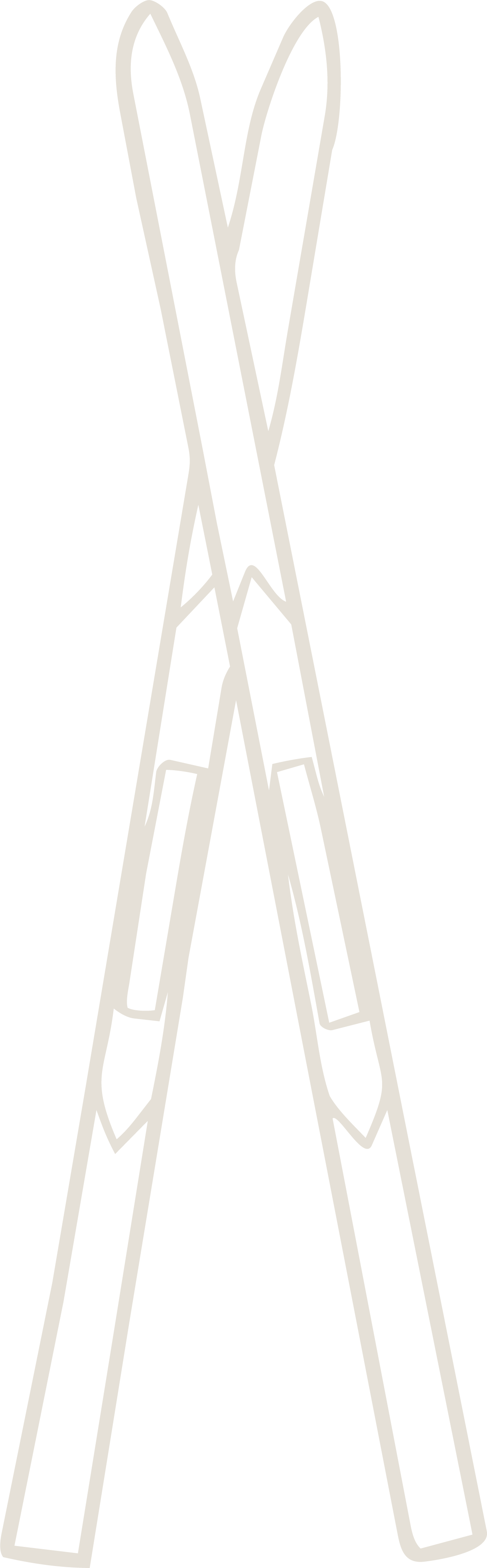 Simple beige outline drawing of two crossed skis on a transparent background.