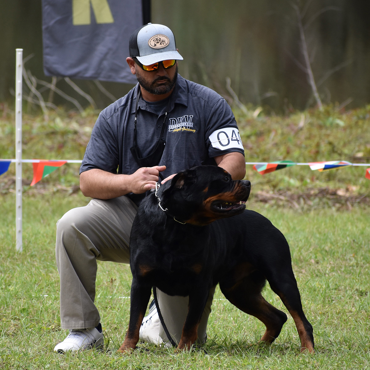 Angel Gutierrez presenting Italian Stallion von der Korperkraft in the show ring, highlighting DKV Rottweilers commitment to structure and breed excellence.