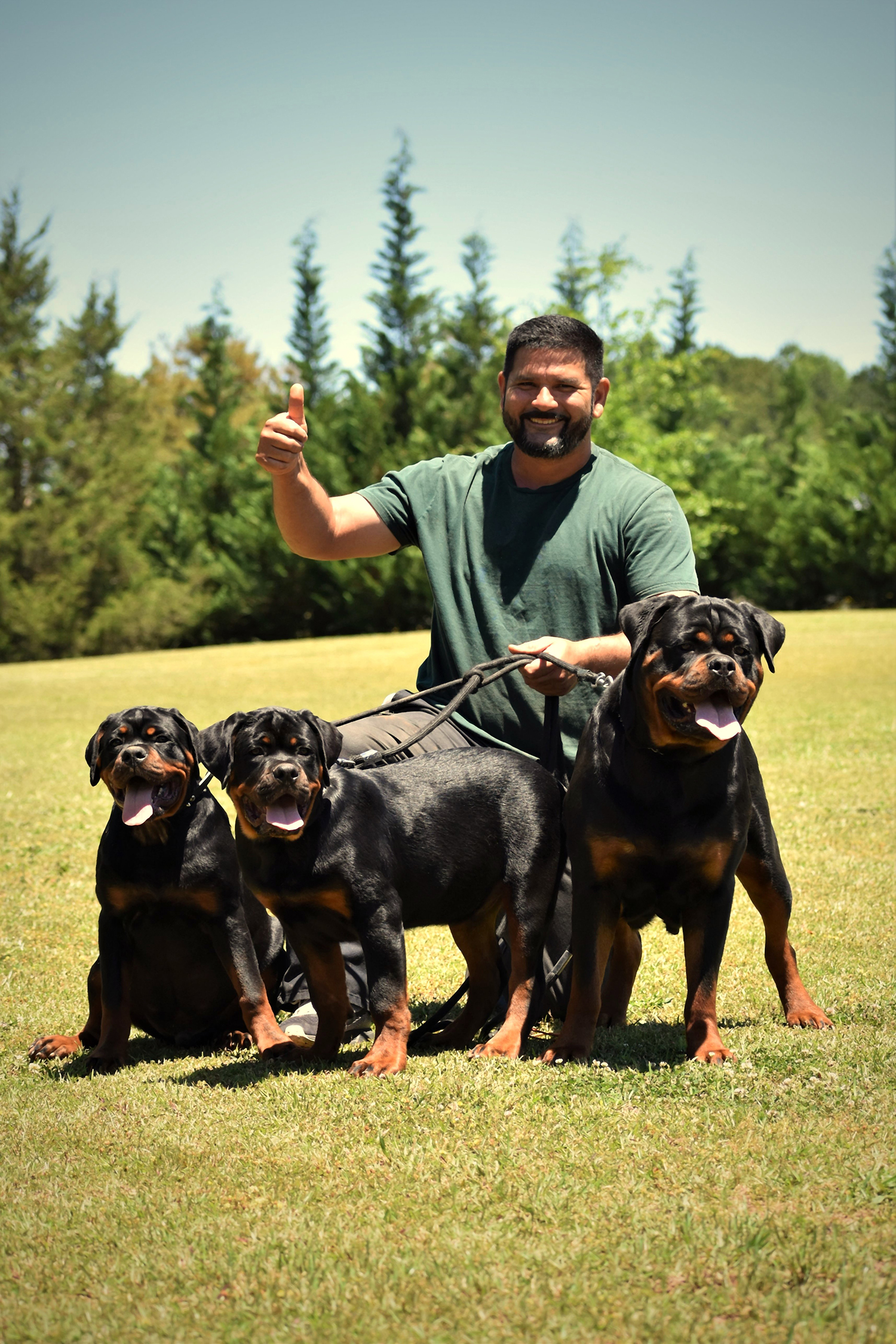 Angel Gutierrez with adult female and offspring German Rottweilers from DKV breeding program