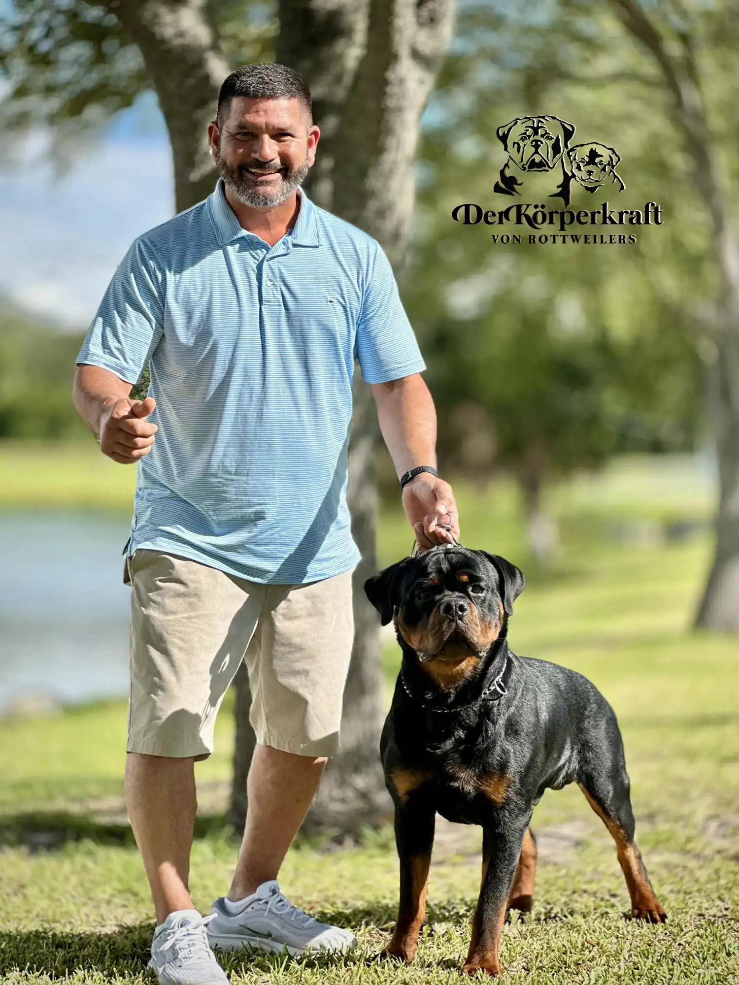 German Rottweiler prepared for AKC show with breeder Angel Gutierrez at DKV Rottweilers