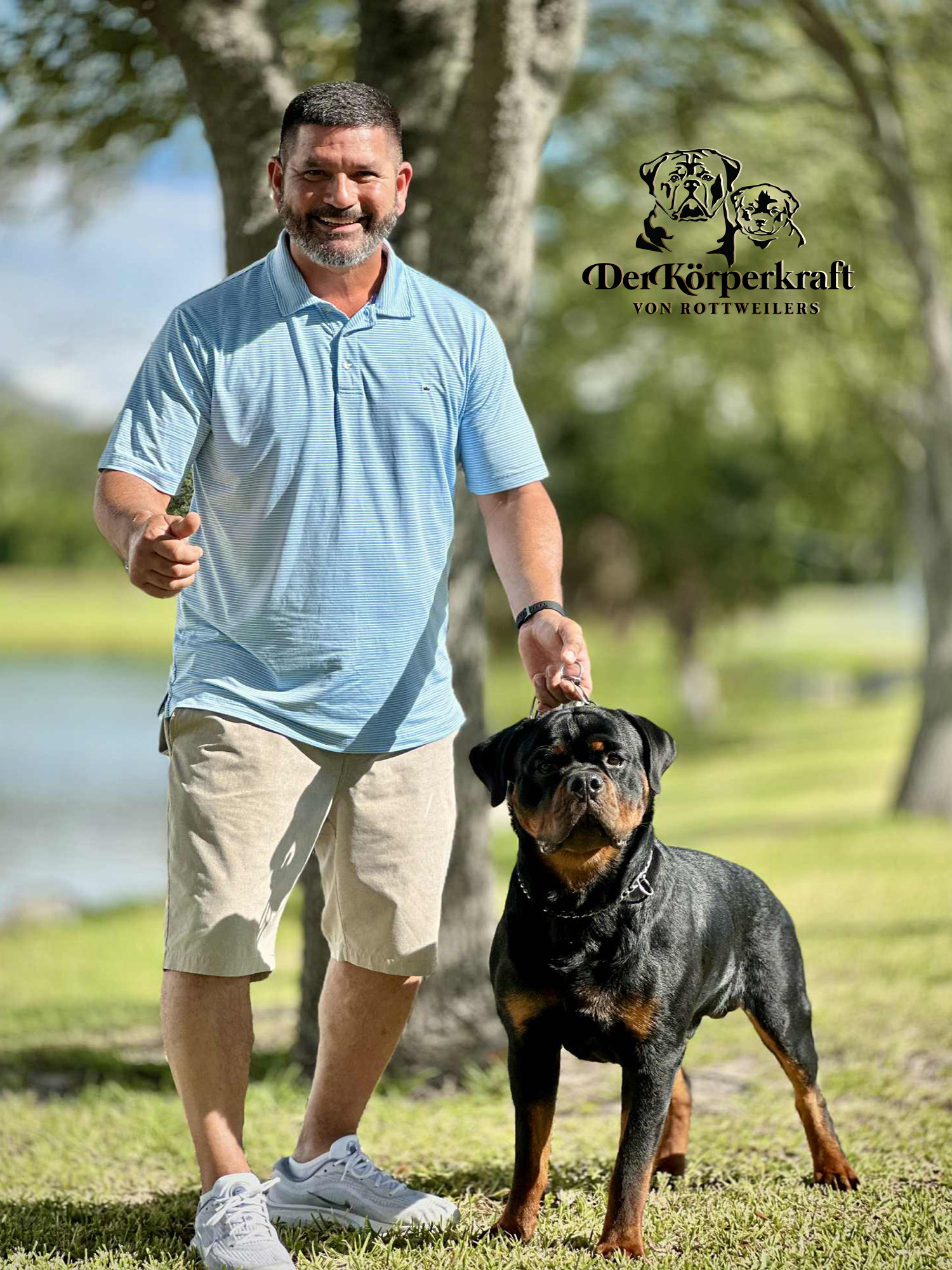 German Rottweiler prepared for AKC show with breeder Angel Gutierrez at DKV Rottweilers