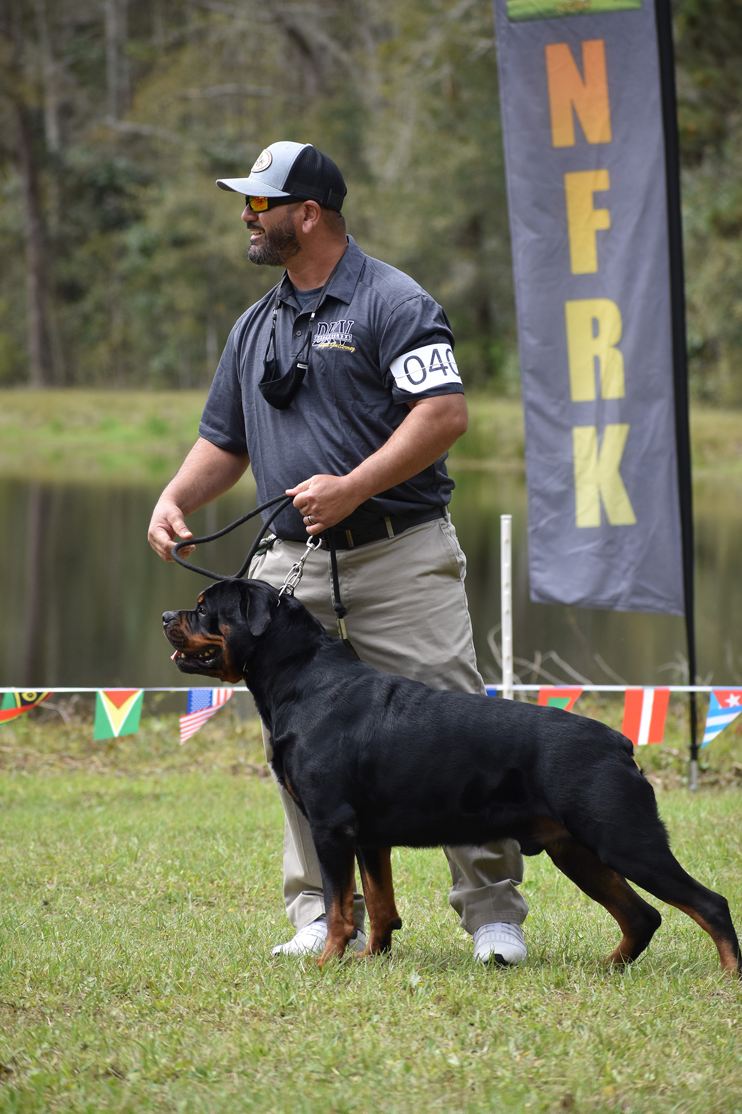 Angel Gutierrez evaluating a mature German Rottweiler in the show ring, demonstrating hands-on structural assessment within the DKV Rottweilers breeding program.