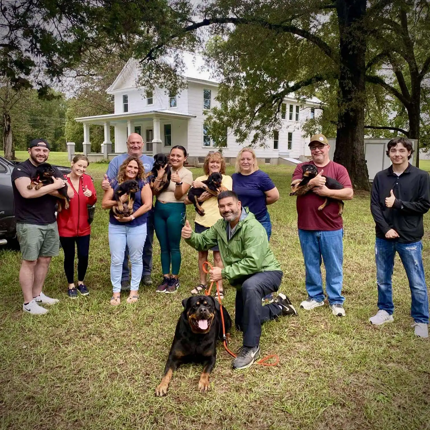 DKV Rottweilers featured reviews showcasing verified 5-star customer testimonials from families who purchased German Rottweiler puppies for sale through the DKV Rottweiler breeding program.