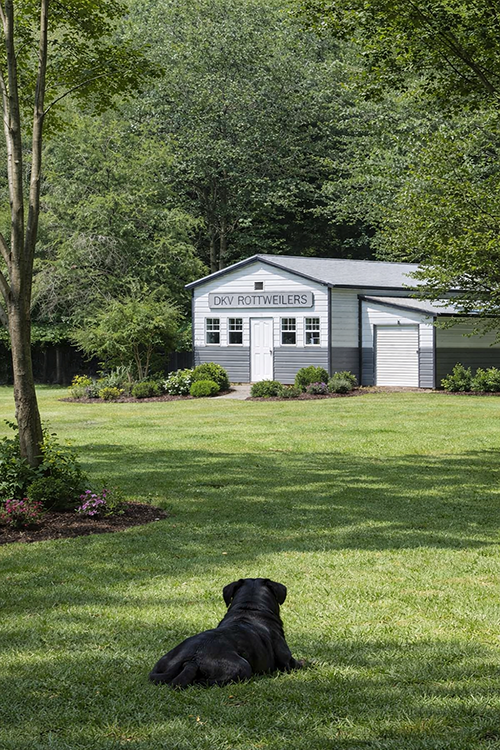 DKV Legacy facility supporting our structured German Rottweiler breeding program