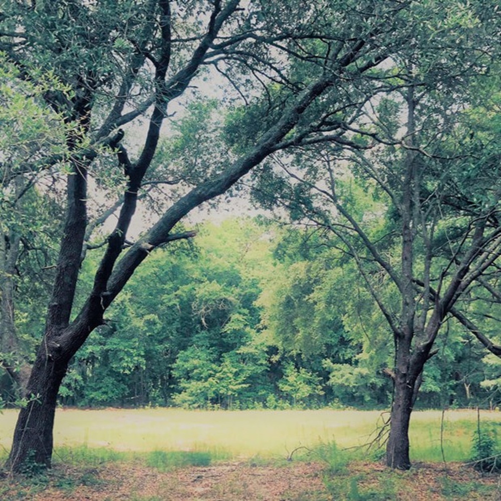 DKV Legacy open property grounds