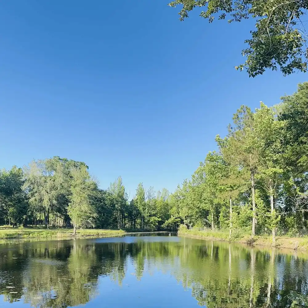 DKV Legacy pond and surrounding landscape