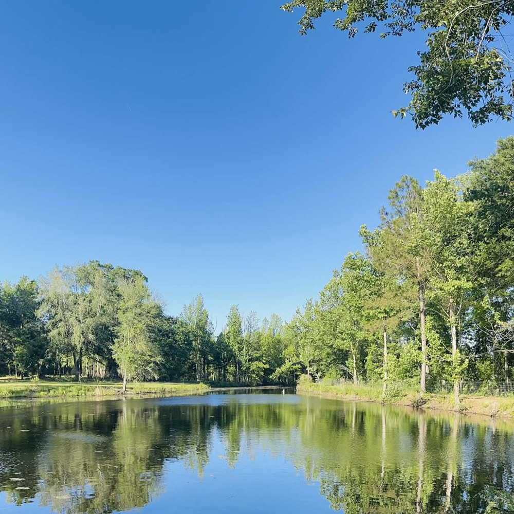 DKV Legacy pond and surrounding landscape