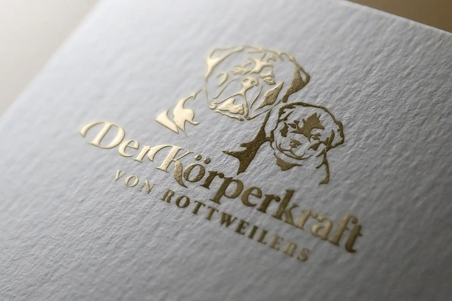 Der Körperkraft von Rottweilers logo representing DKV Rottweilers brand, symbolizing elite German Rottweiler breeding program, strength, structure, and premium bloodlines