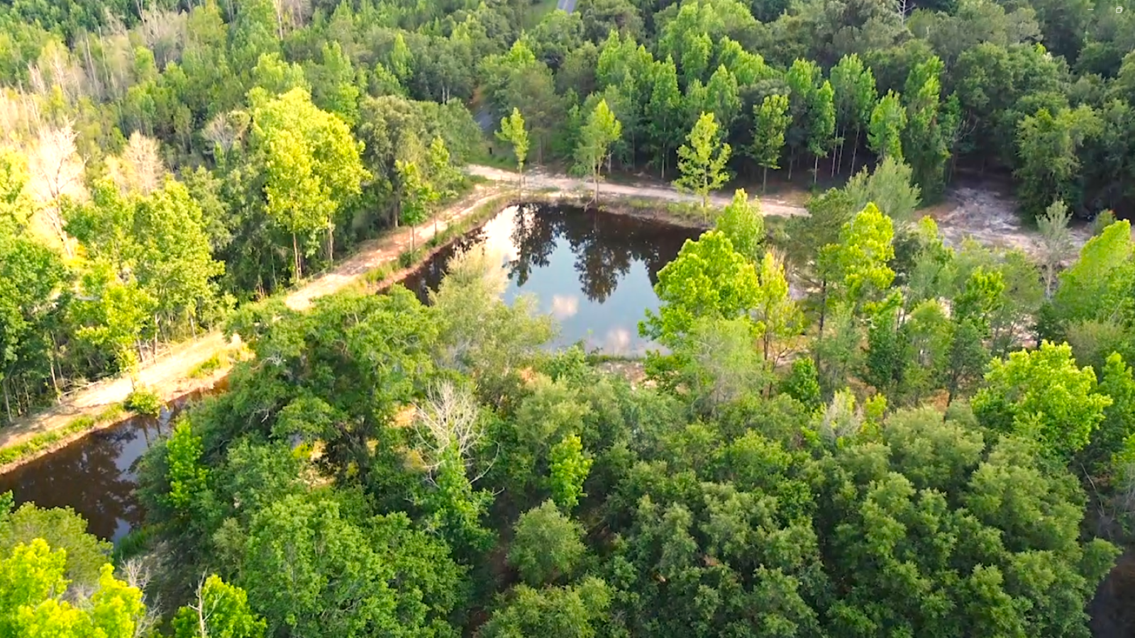 DKV Legacy facility supporting our structured German Rottweiler breeding program