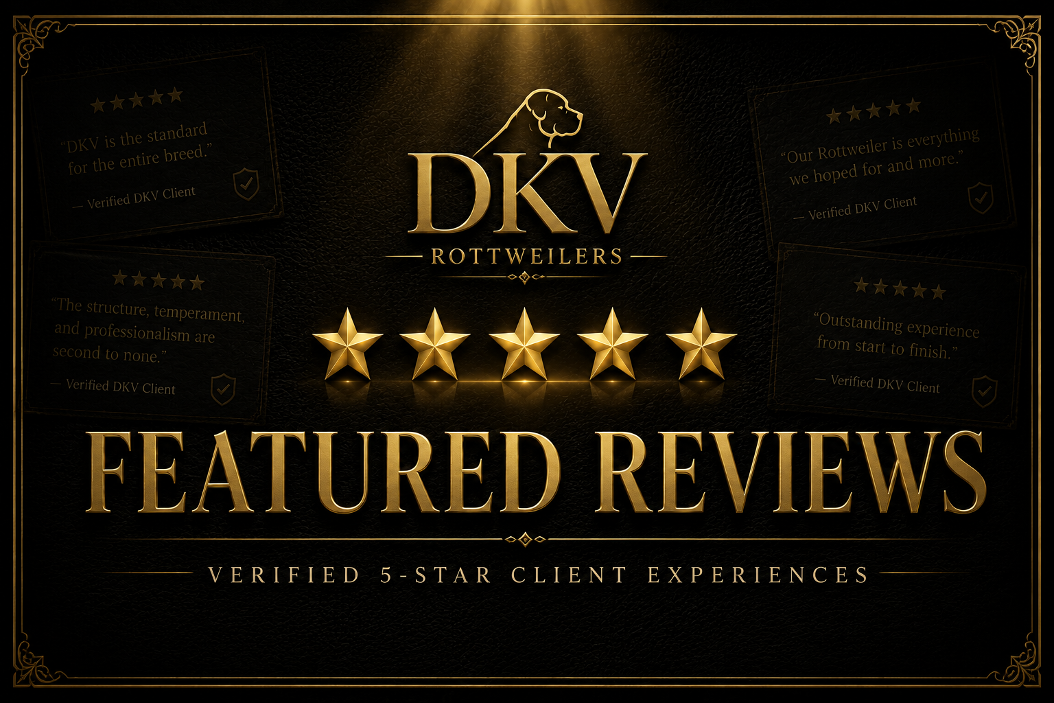 DKV Rottweilers featured reviews showcasing verified 5-star customer testimonials from families who purchased German Rottweiler puppies for sale through the DKV Rottweiler breeding program.