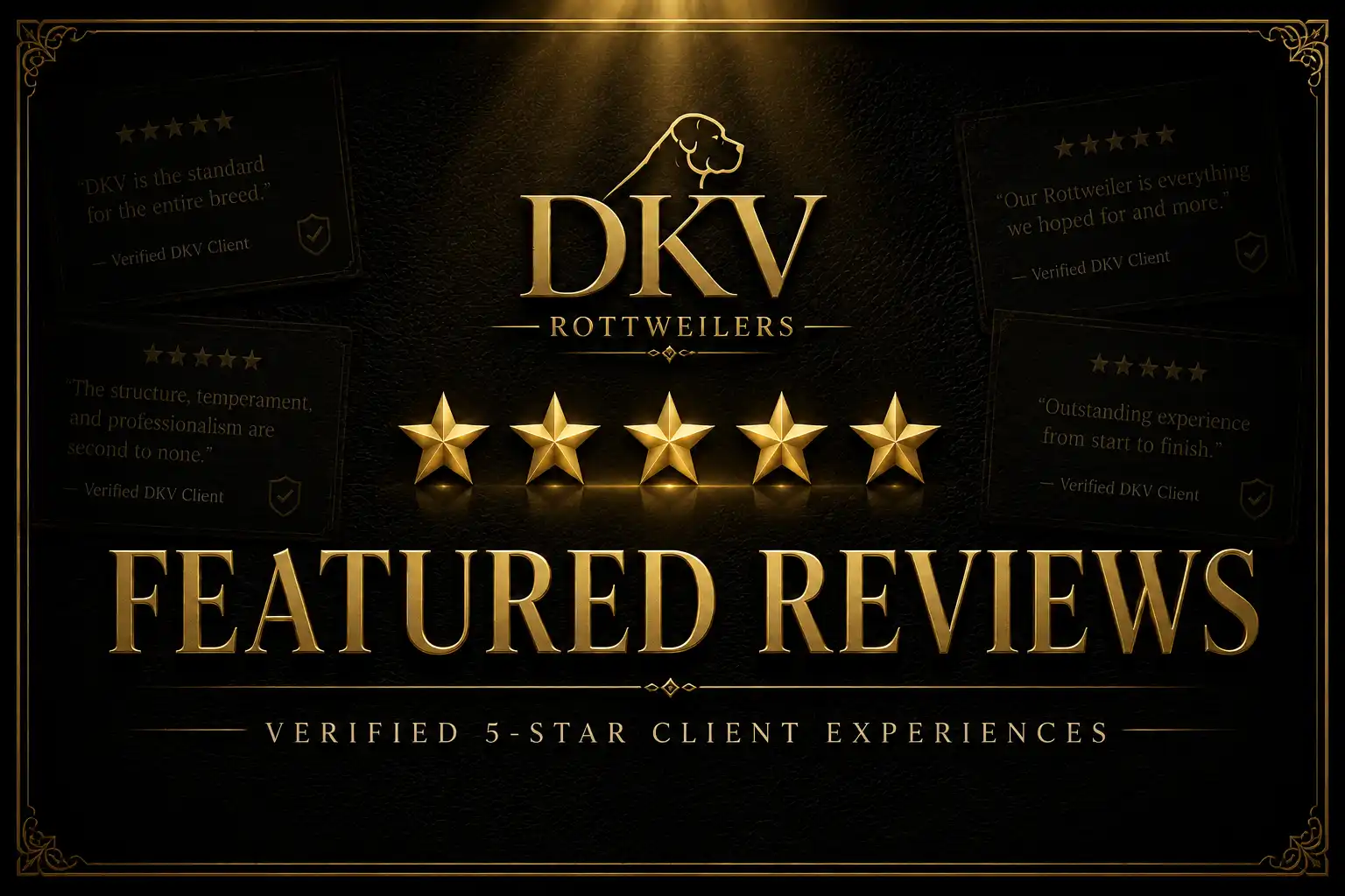 DKV Rottweilers featured reviews showcasing verified 5-star customer testimonials from families who purchased German Rottweiler puppies for sale through the DKV Rottweiler breeding program.