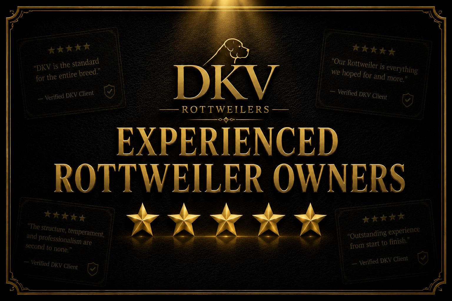 Experienced Rottweiler owners reviewing DKV Rottweilers for breed quality, temperament, structure, bloodlines, health, and overall satisfaction with their German Rottweiler puppies.
