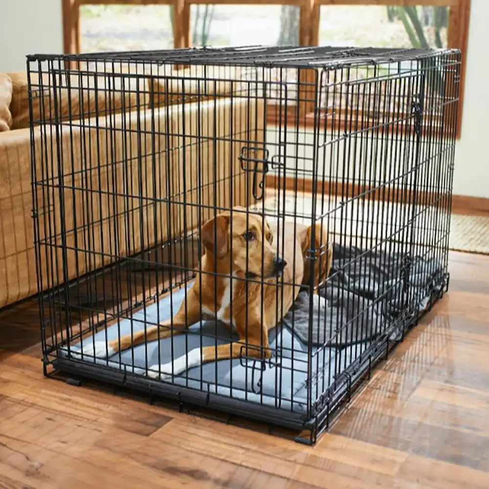 DKV Rottweilers recommends Frisco Heavy Duty Multi-Stage Wire Dog Crate for German Rottweiler puppies for sale.