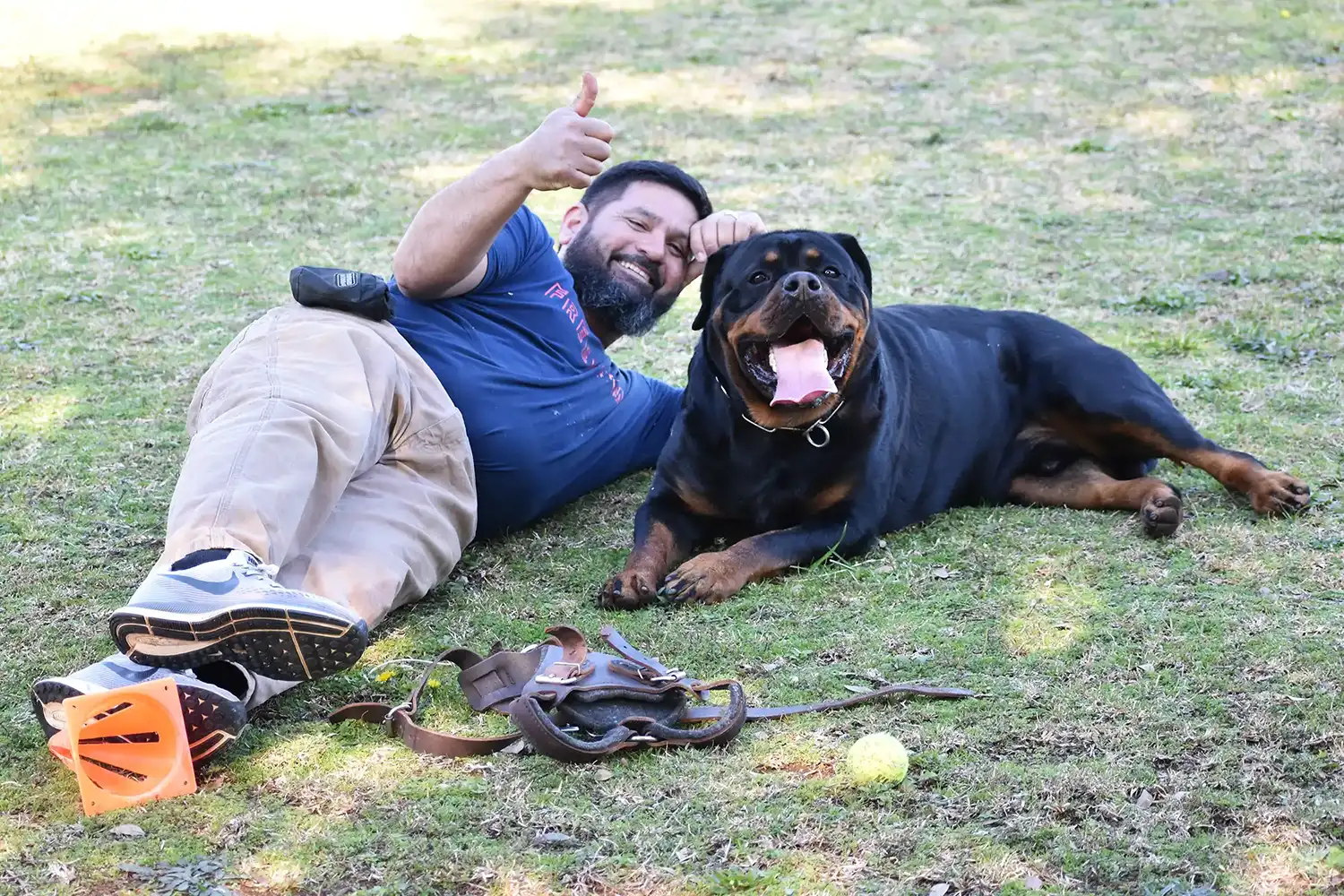 DKV Rottweilers breeder and trainer Angel Gutierrez with adult German Rottweiler