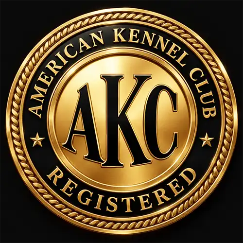 AKC Registered German Rottweilers - Authentic European Bloodlines and Pedigrees