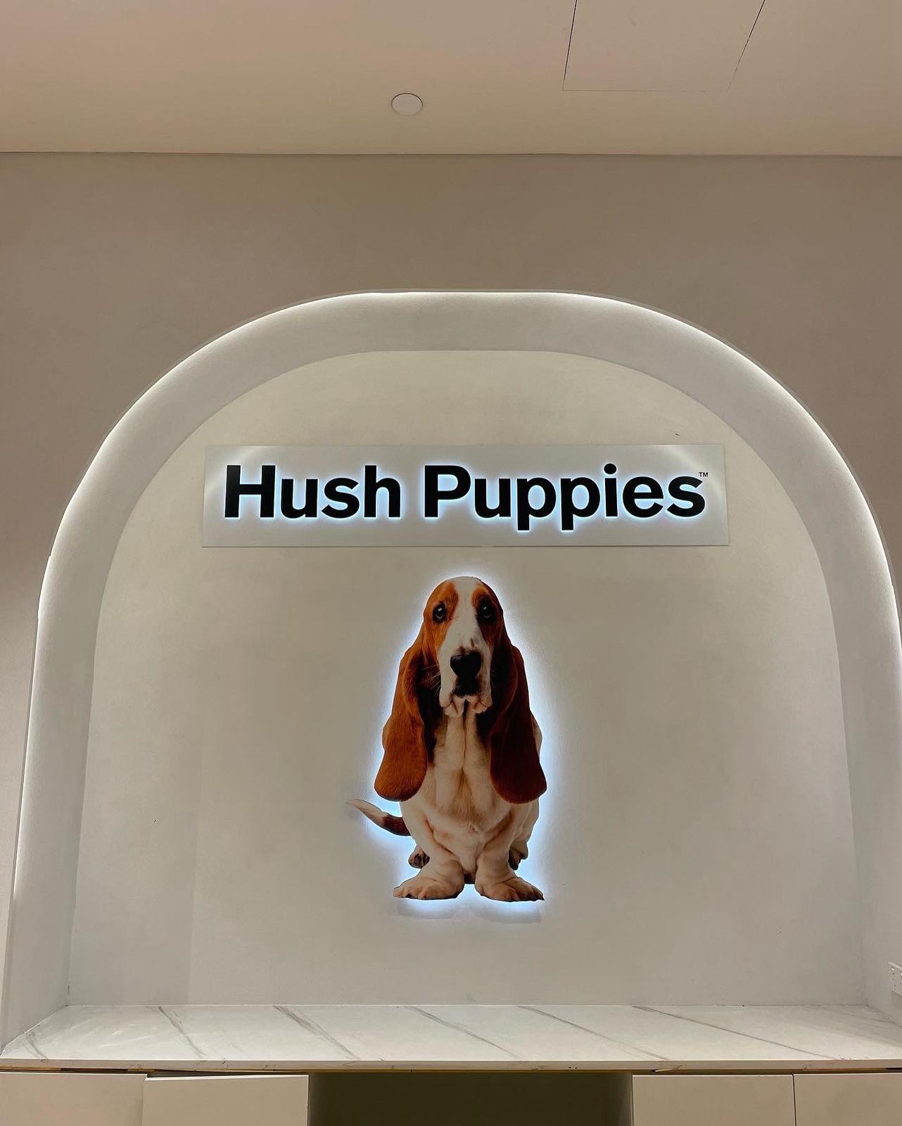 image of a house inspection