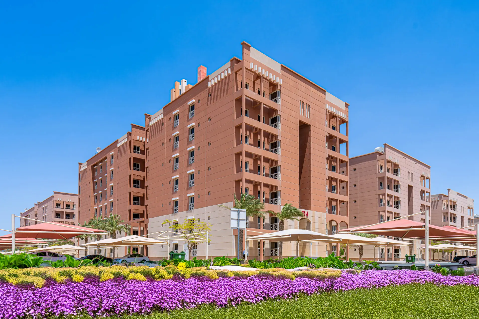 image of community event (for a nonprofit & charity)