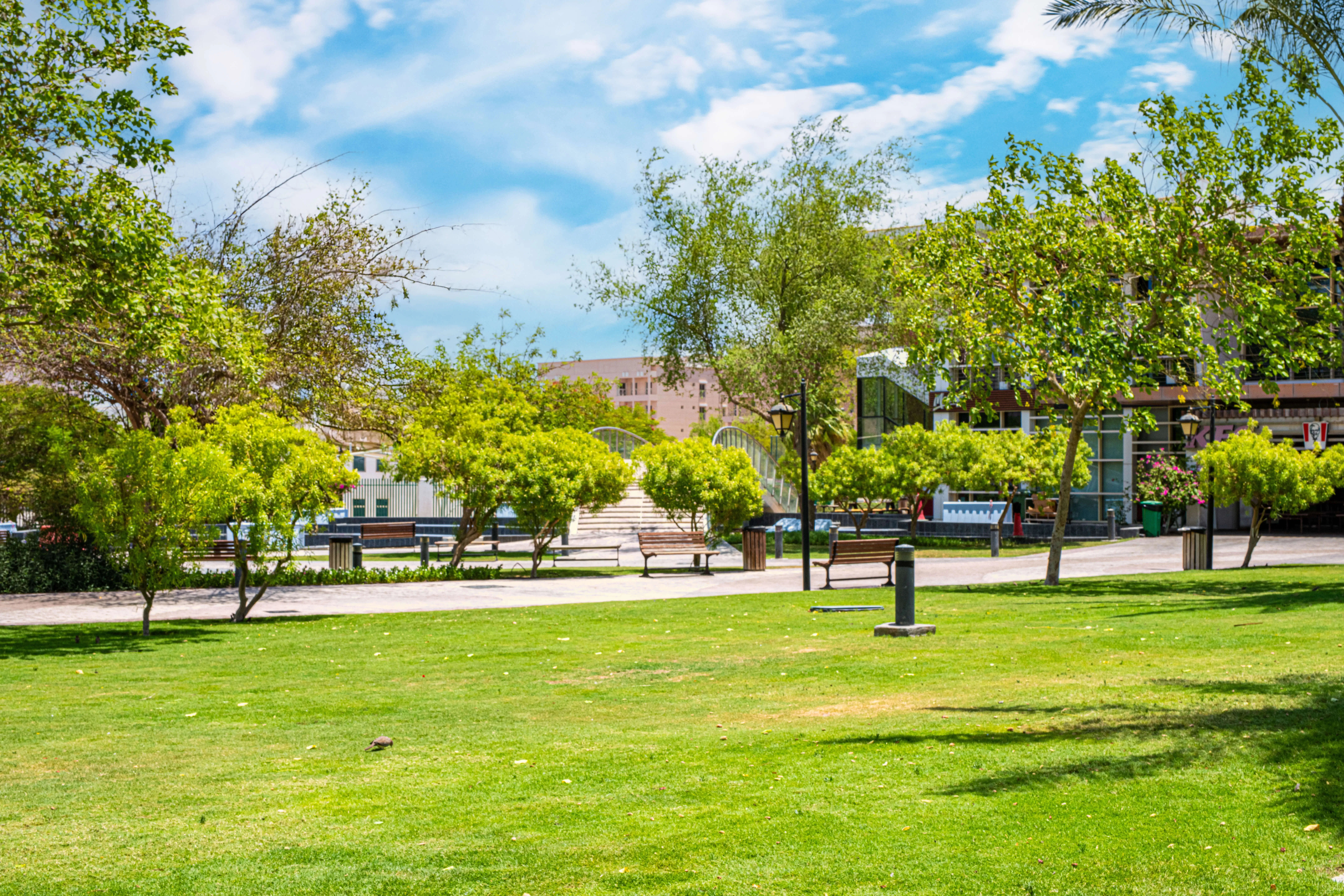 [background image] image of a modern urban landscape (for a mosque)