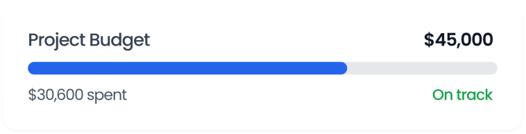 Project budget progress bar showing $30,600 spent out of a $45,000 budget, marked as on track.