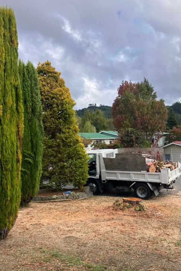 Truck loaded with wood from a tree that was cut down