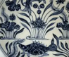 Fish & Algae Motif