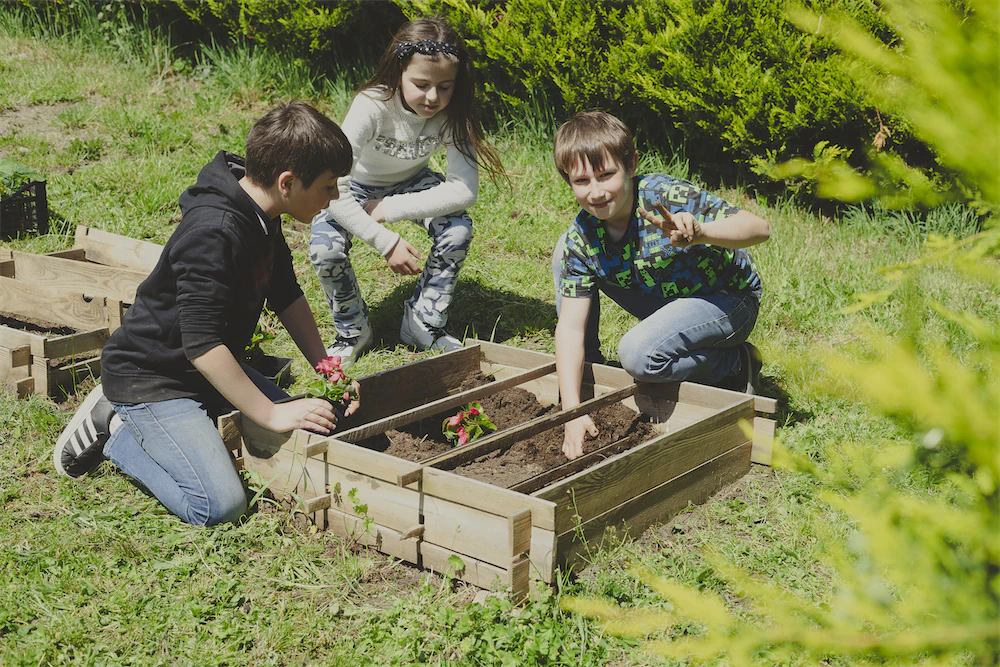Trois enfants plantent des fleurs dans un potager en bois dans un jardin ensoleillé.