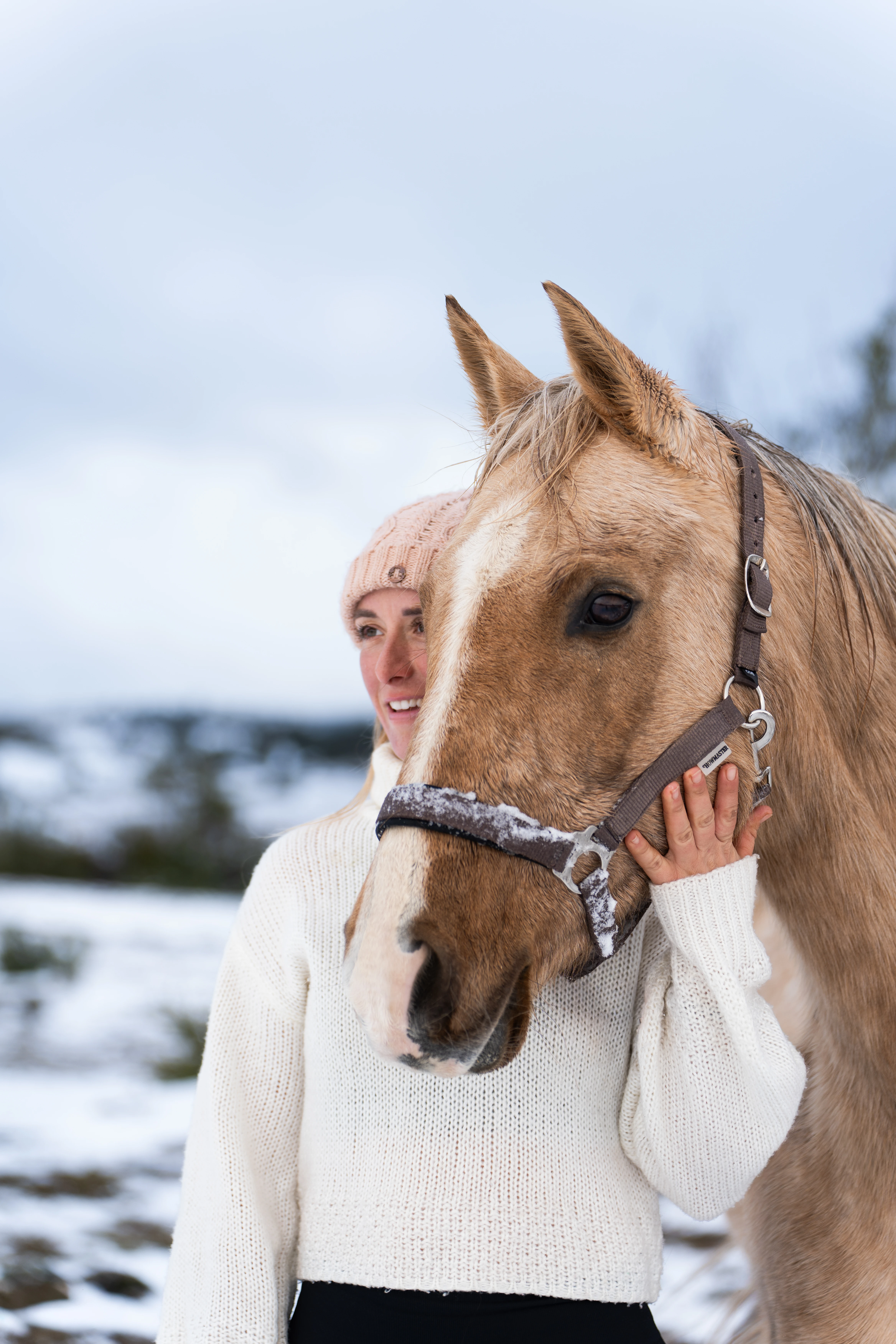 Gros plan d'un cheval brun avec une bride, monté par une personne en tenue d'équitation, éclairé par une lumière chaude.