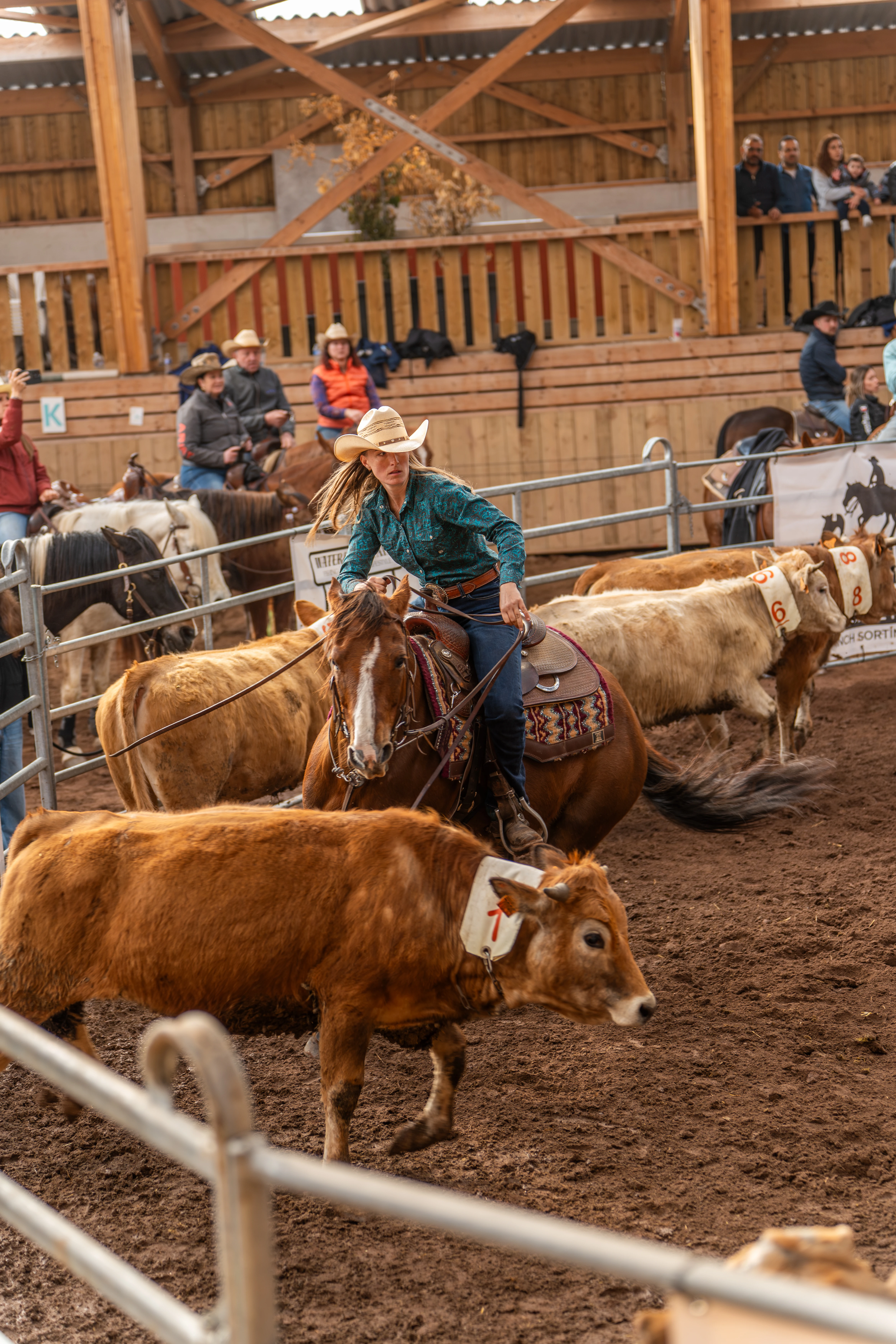 Femme en chapeau noir caressant deux chevaux au coucher du soleil.