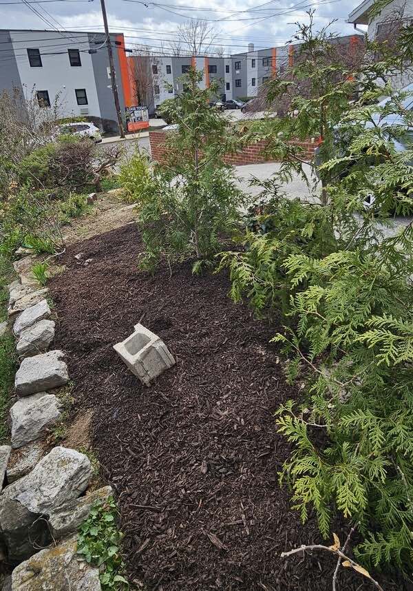 How Much Mulch Do You Actually Need?