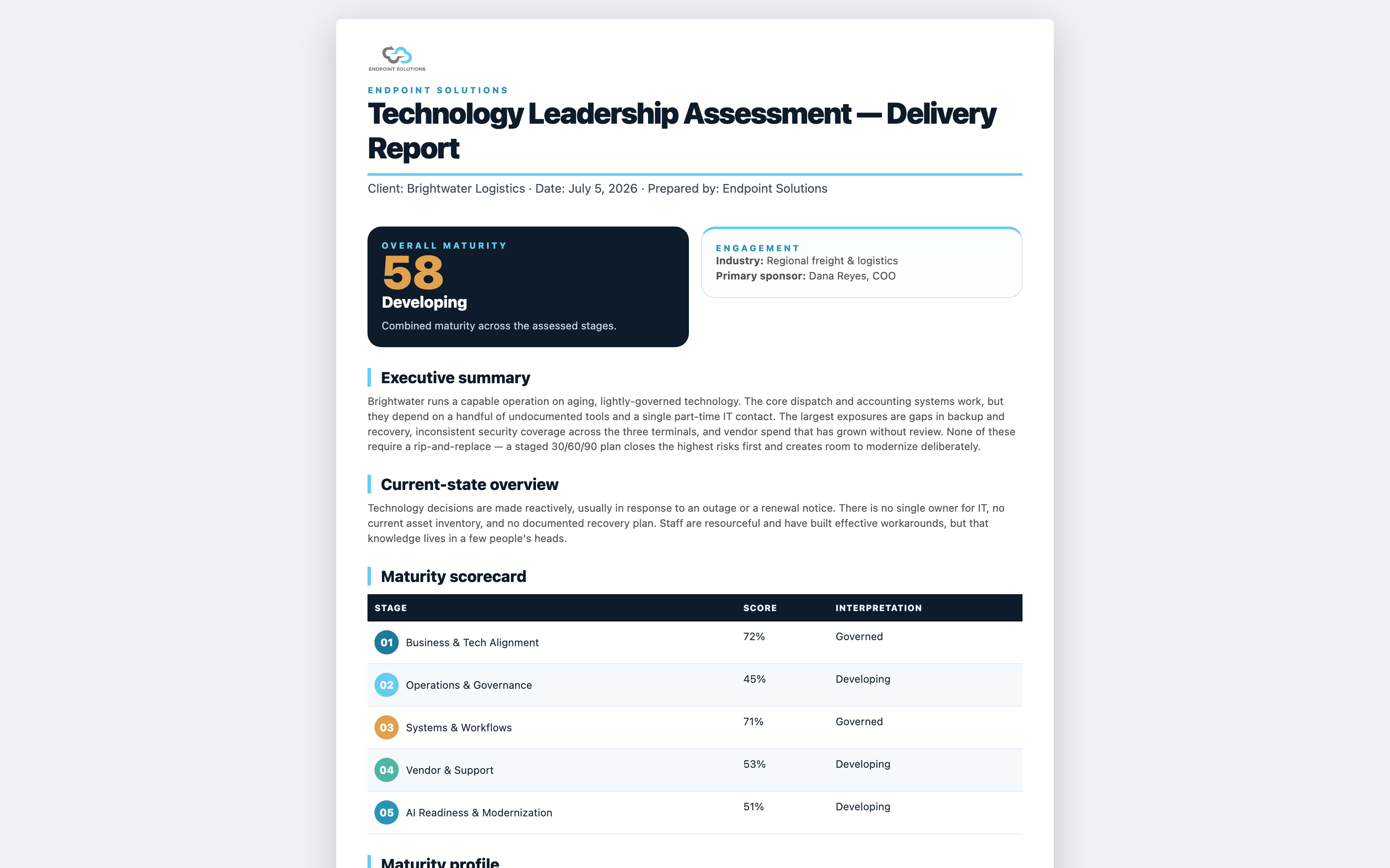 30/60/90 roadmap and executive report overview