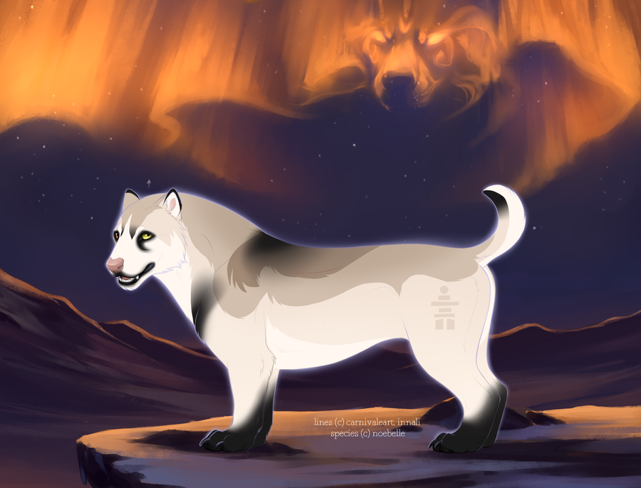The first dwarf Tokota or “Toki,” Almost F9229.