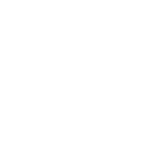 Logo google