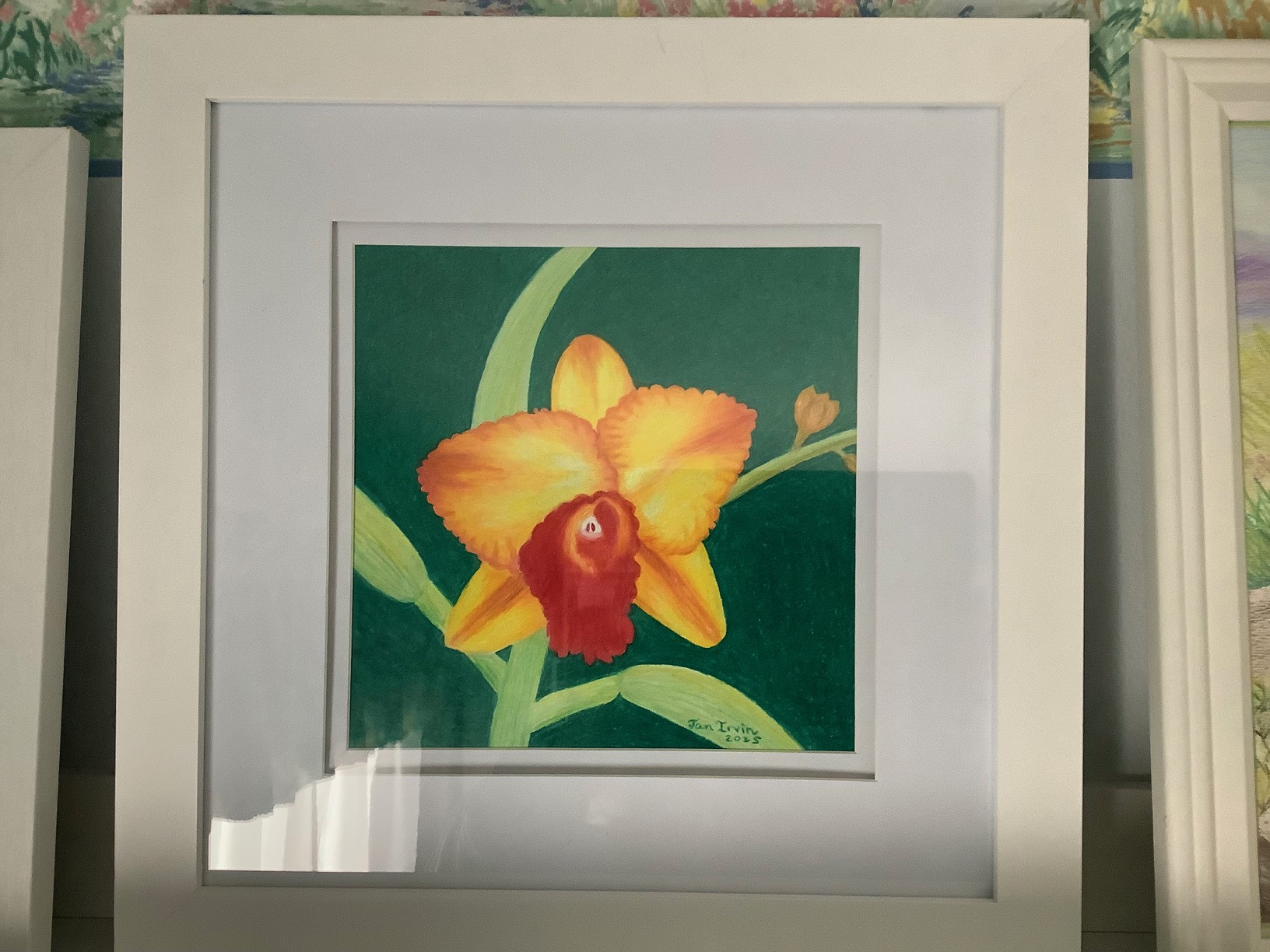 Orchid by Jan Irvin