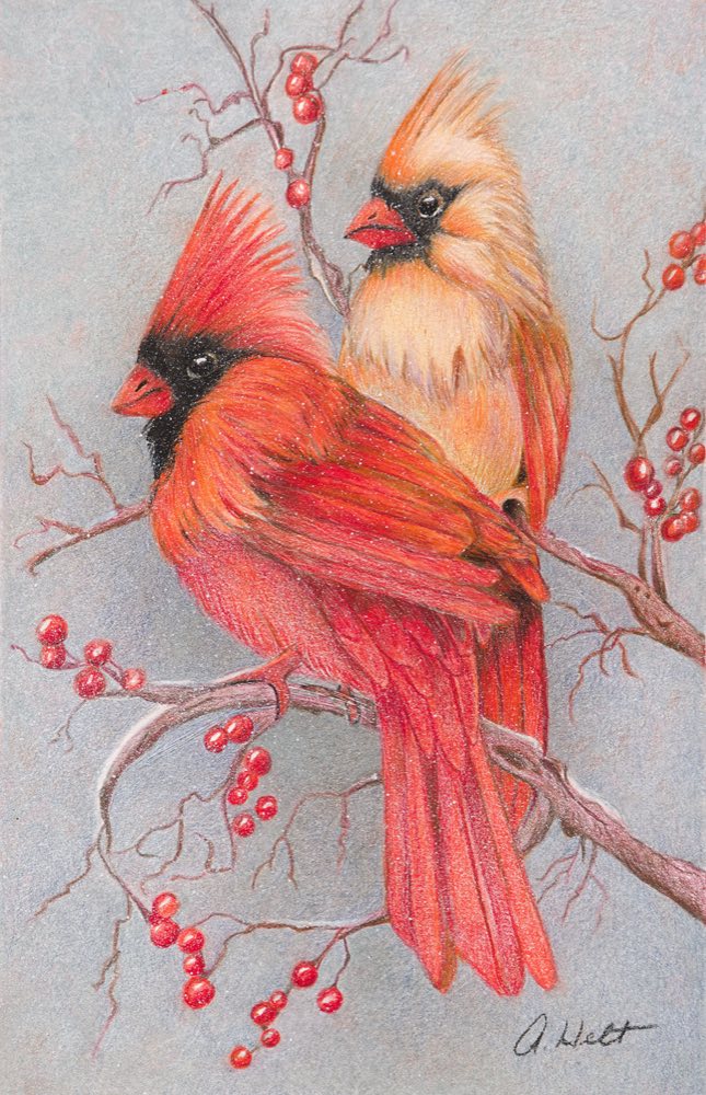 Heaven's Messengers by Angela Helt