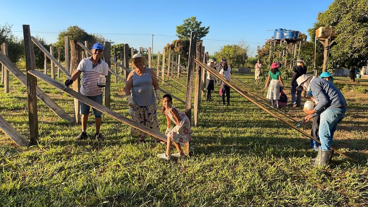 Pessoas trabalhando juntas numa plantação para cuidar das plantas sob sol claro.