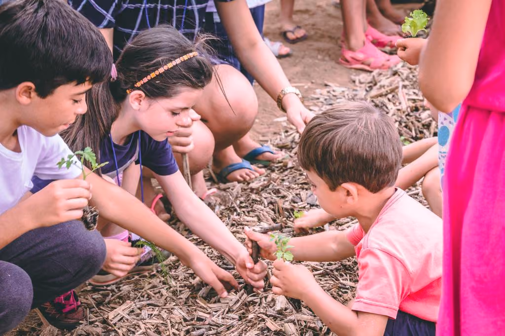 Crianças plantando mudas em solo coberto por aparas de madeira ao ar livre.