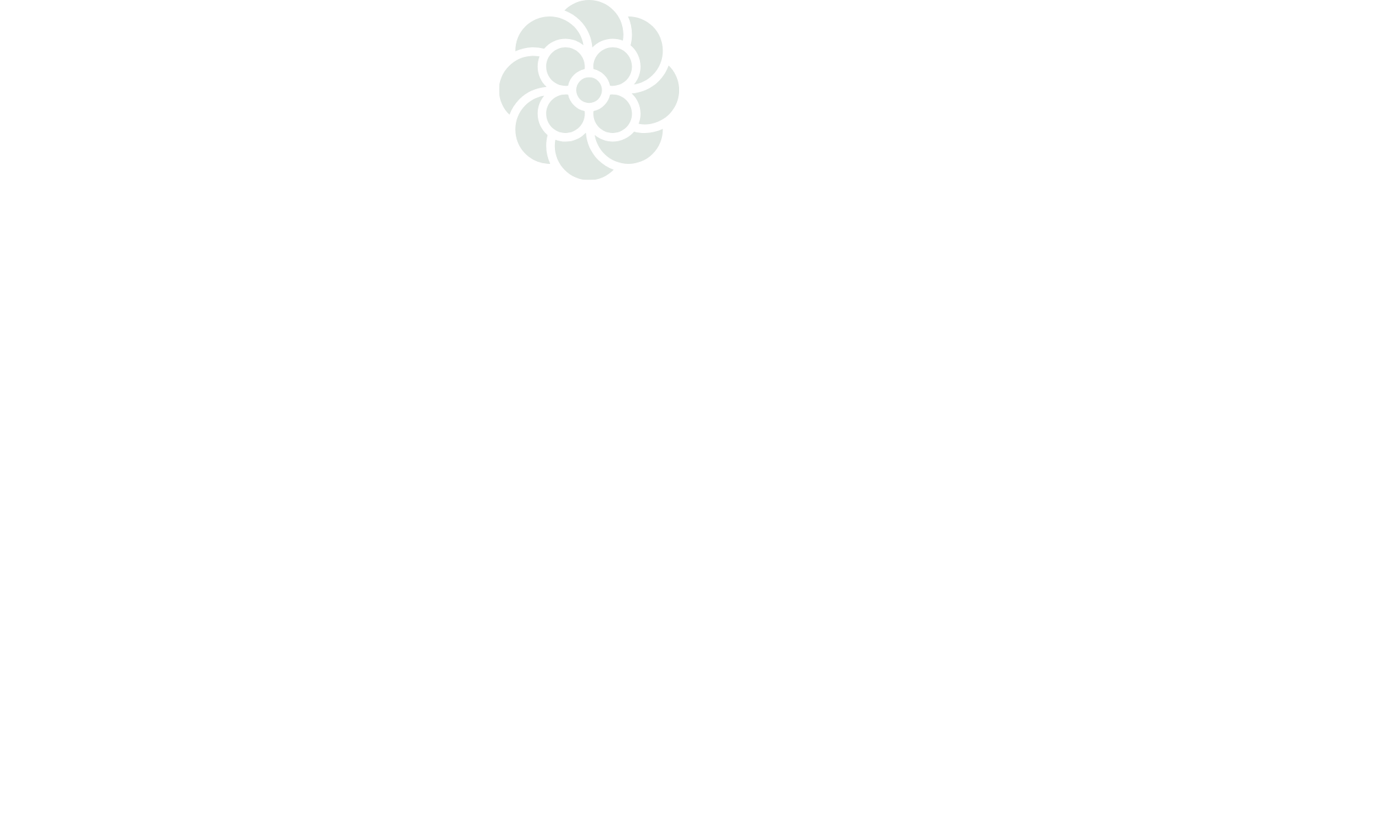 Soul Serenity By Lianne Logo