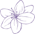 Flower icon