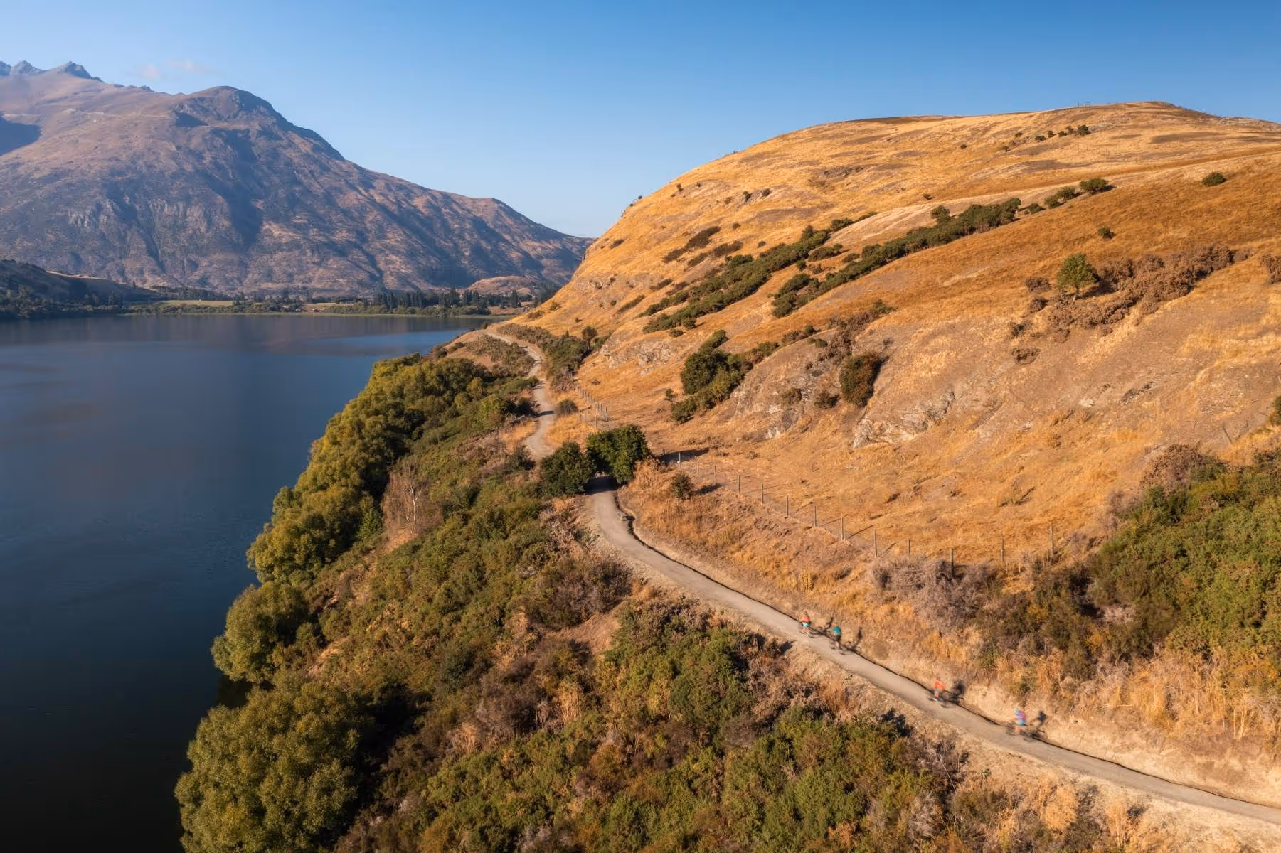 A visual gallery of one of NZ's favourite Great Rides