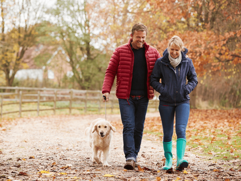 Smiling couple walking a golden retriever dog on a leaf-covered path in autumn.