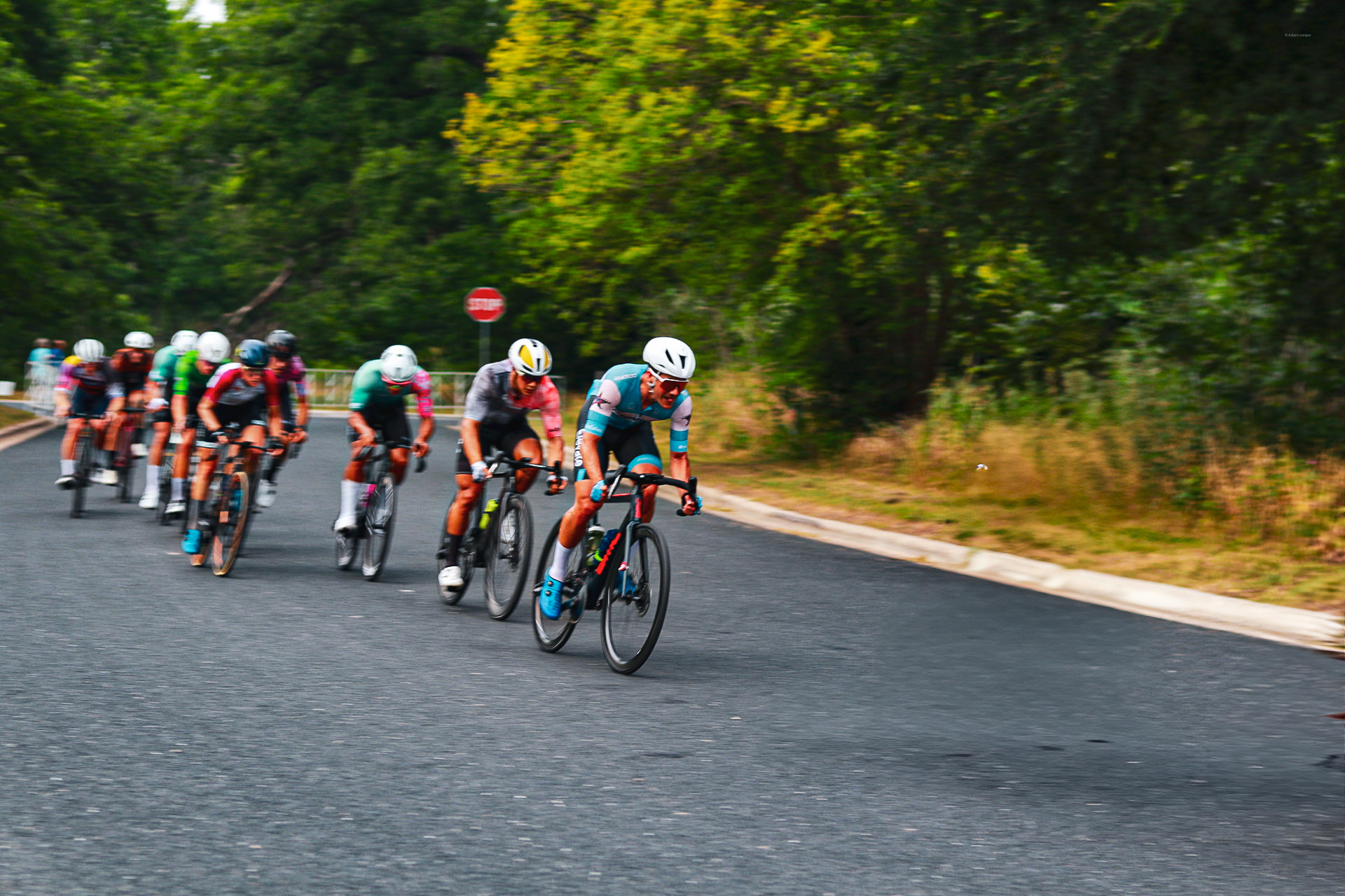 Cyclists racing on a paved road surrounded by greenery during a cycling competition.