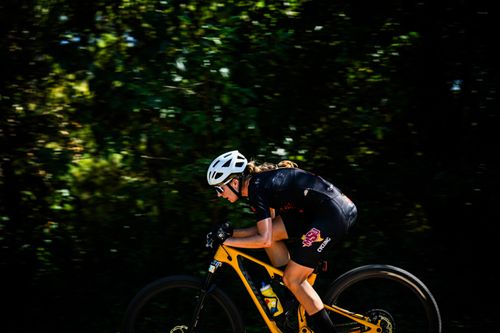 Cyclist wearing a white helmet and black MSU Cycling kit rides a yellow mountain bike through a wooded area.