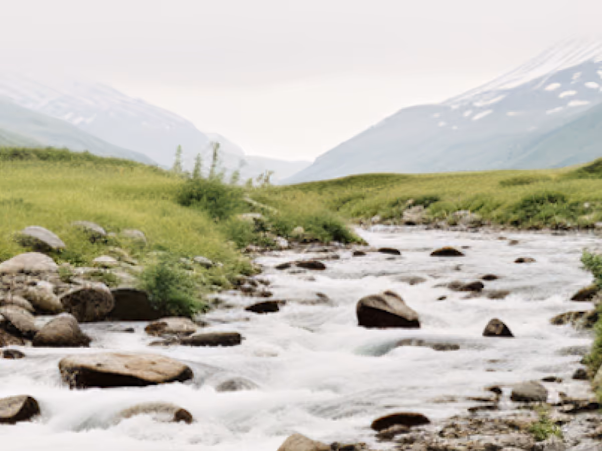 Stream flowing over rocks through grassy fields with snow-capped mountains in the background.
