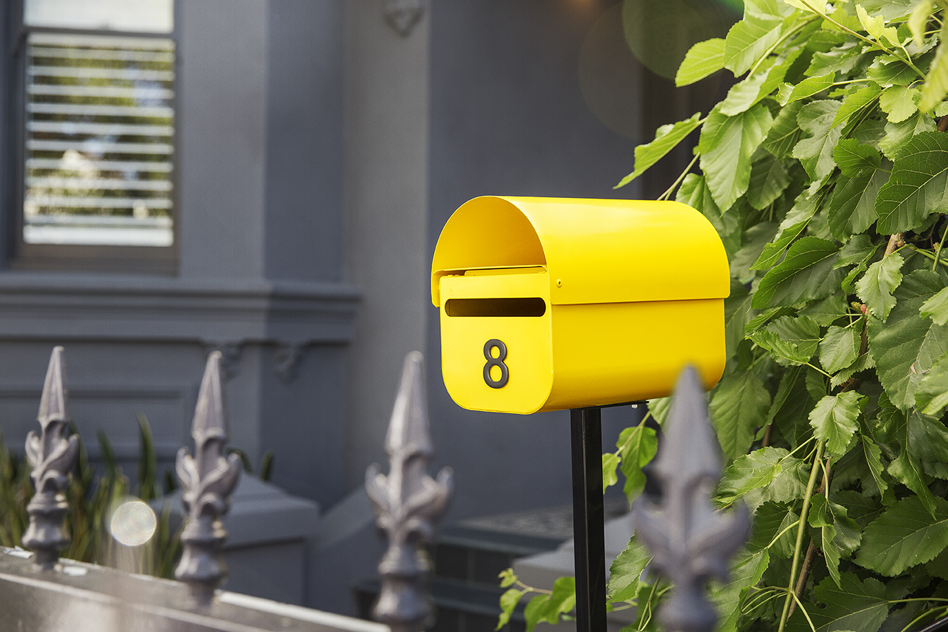 Ray White Network