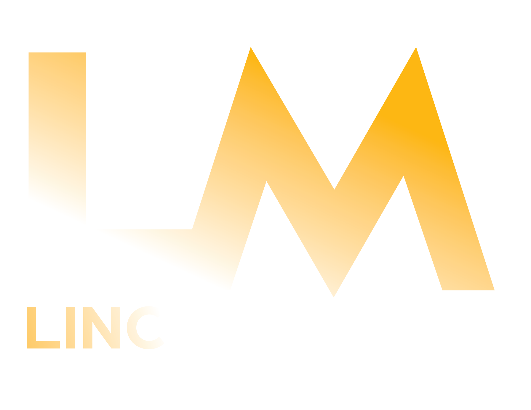 Logo with large gradient letters 'LM' above the text 'LINCOLN MEDIA'.